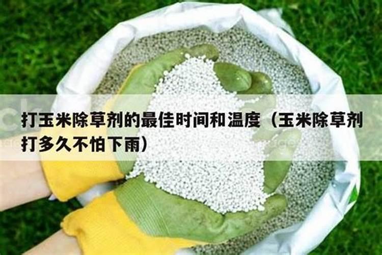 叶面喷施硼肥的最佳时间