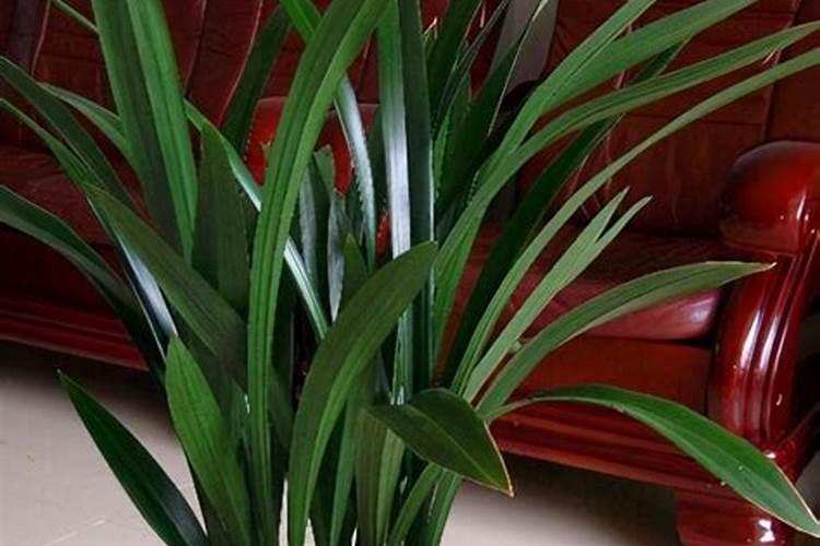 泰丰源生产的泰宝生物有机肥每袋的价格【40kg】是？