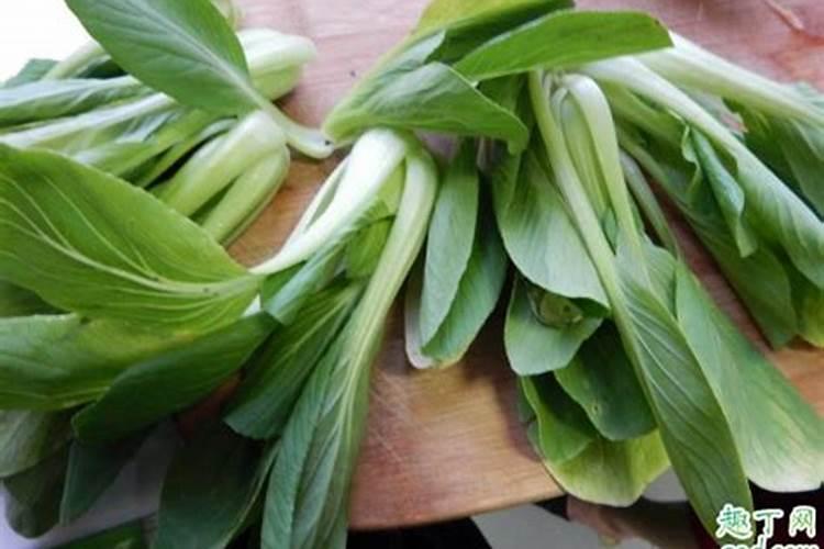 油菜叶面喷施硼肥的最佳时间