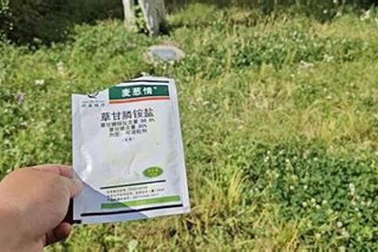 遇到除草剂药害怎么办？