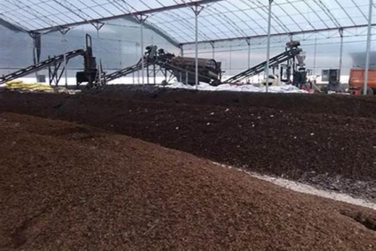 广东省云浮市郁南县适合种葡萄吗？