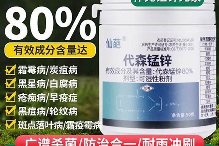 收到的月季苗带着黑斑怎么处理的？