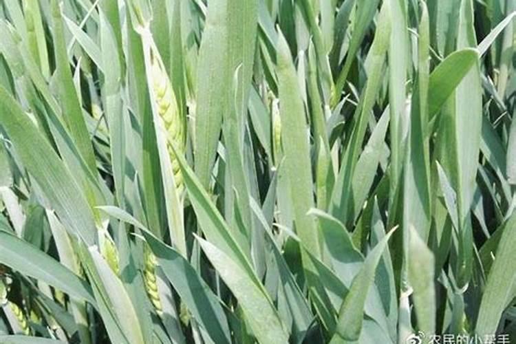 卖化肥有多大利润？肥料经销商和种植户观点不一,听听都是怎么说