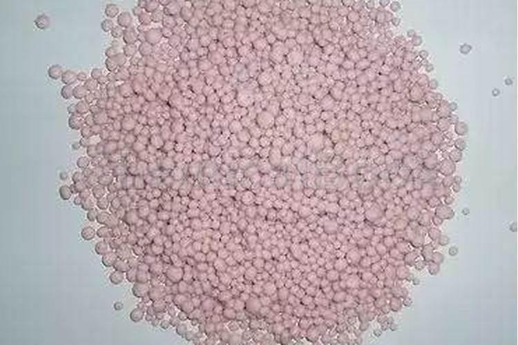 什么肥促进花芽分化;什么肥料能让根系快速生长
