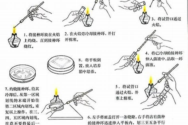 硅肥对葡萄的作用及使用方法
