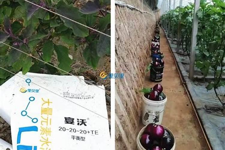 假肥料随处可见,农民买肥料,怎样辨真假