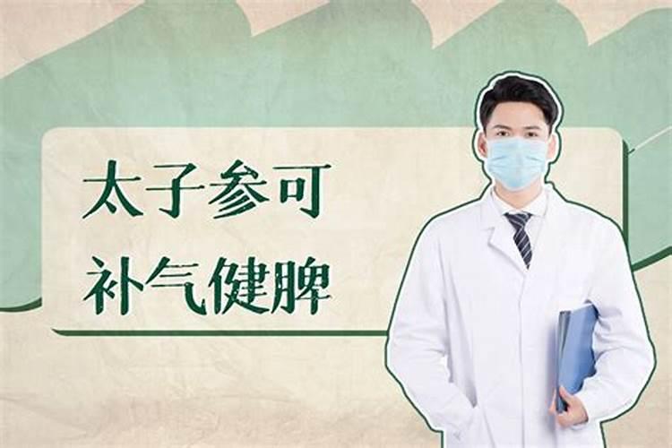 吃什么补气血效果最好