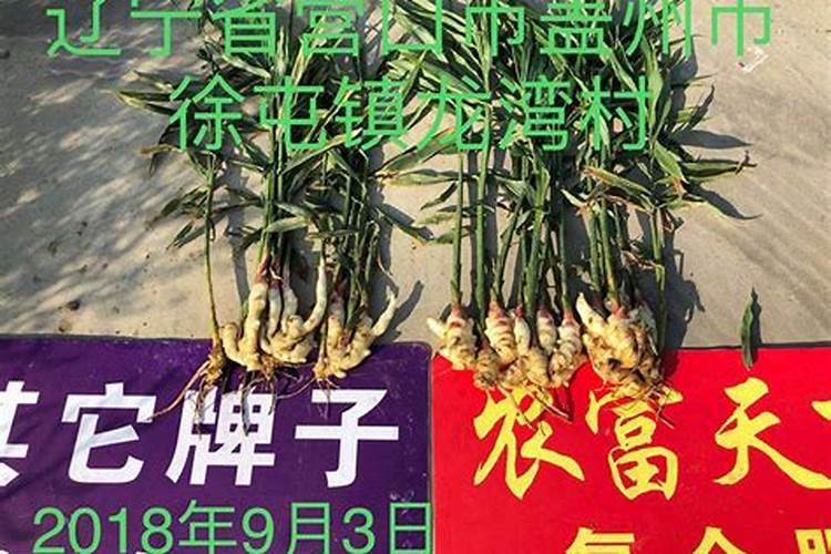 硼肥会随水流失吗？