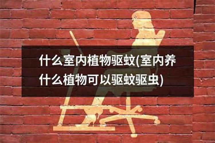 山豆根幼苗怎样施水肥