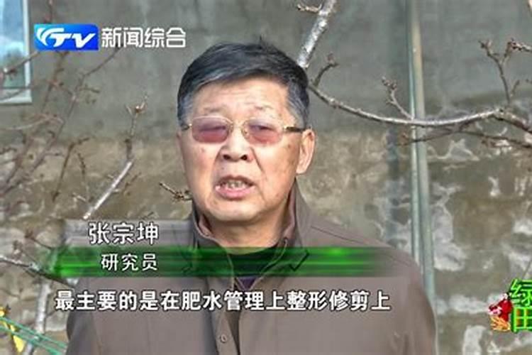 大棚樱桃的施肥时期及施肥量