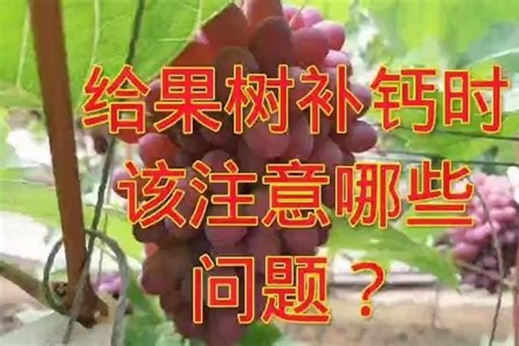 陕西海威科创实业有限公司怎么样？