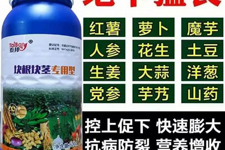 芋头什么时候打膨大素 哪个阶段喷施更好
