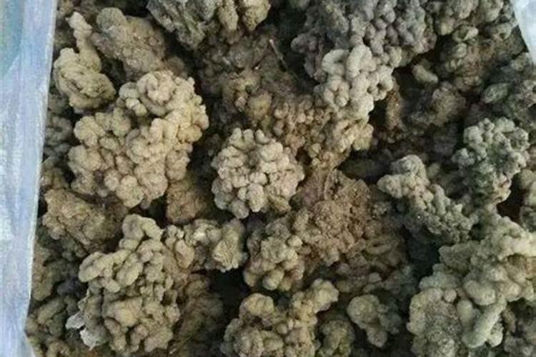 草木灰如何做肥料