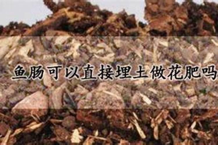 草木灰如何做肥料