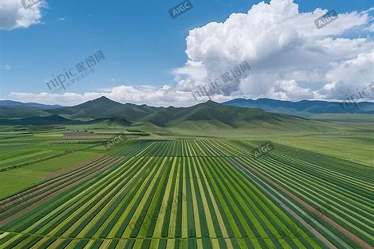 浙江农资集团是国有企业么？