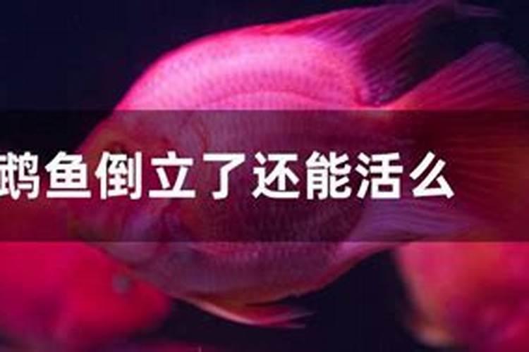 草莓苗期施肥时间和方法 草莓苗期如何施肥以及时间