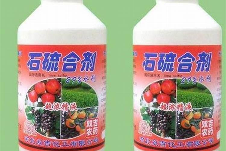玉米叶面肥哪个好