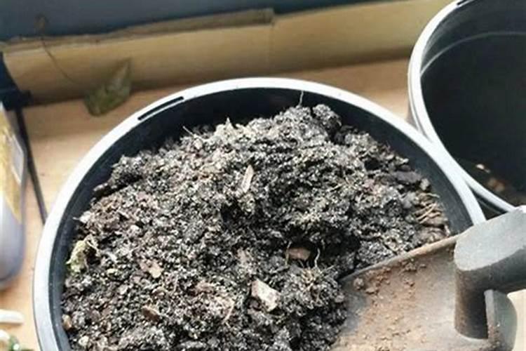 控释肥详细资料
