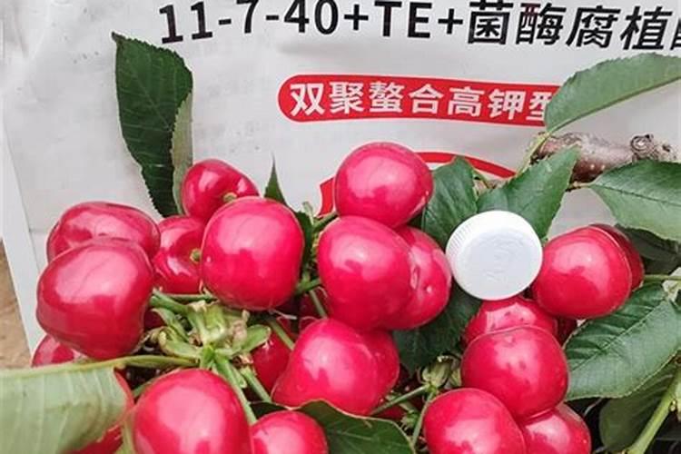 春美桃成熟前用什么冲施肥好