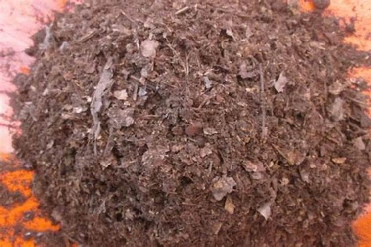 种花不用肥料可以吗