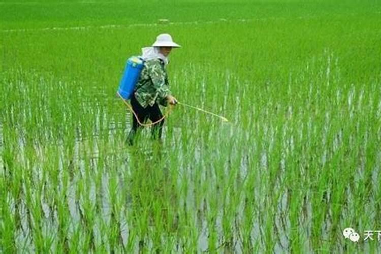 硝酸磷肥跟硝铵磷肥有什么区别。