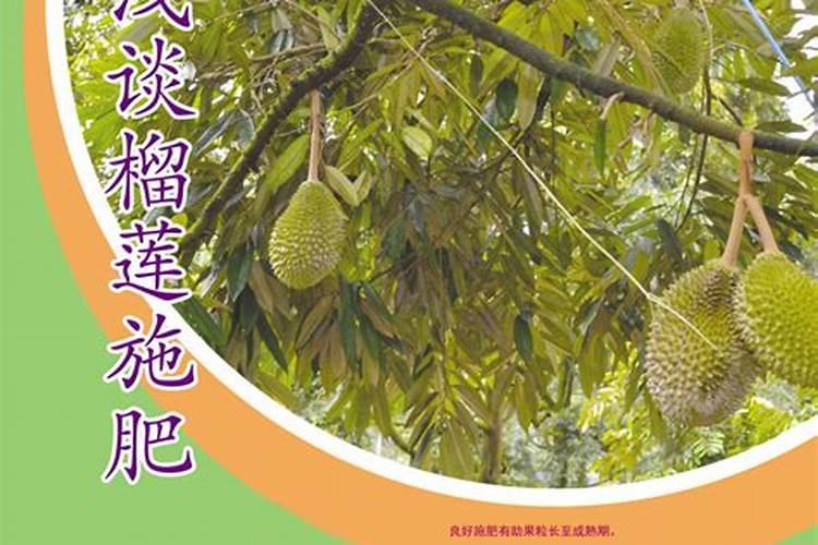 榴莲适合浇哪些肥料