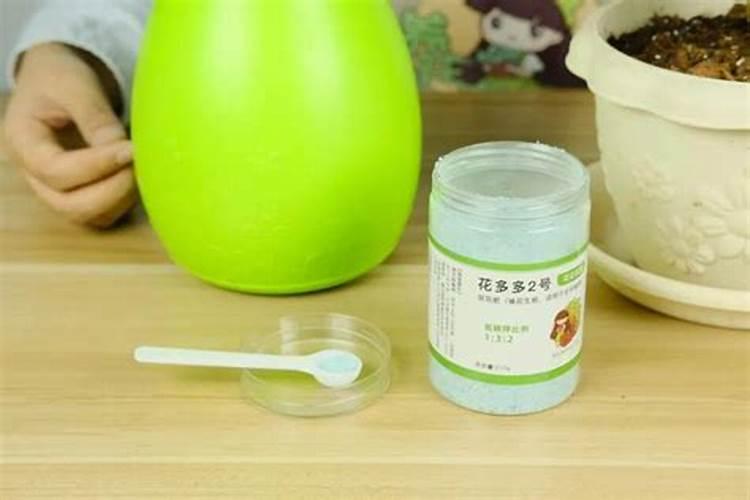 植物根系对矿质元素的吸收和运输