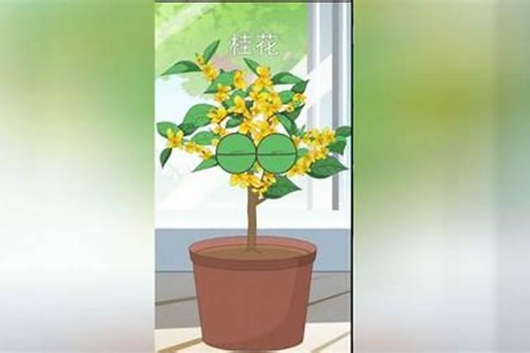 过期核桃千万别扔11种用途