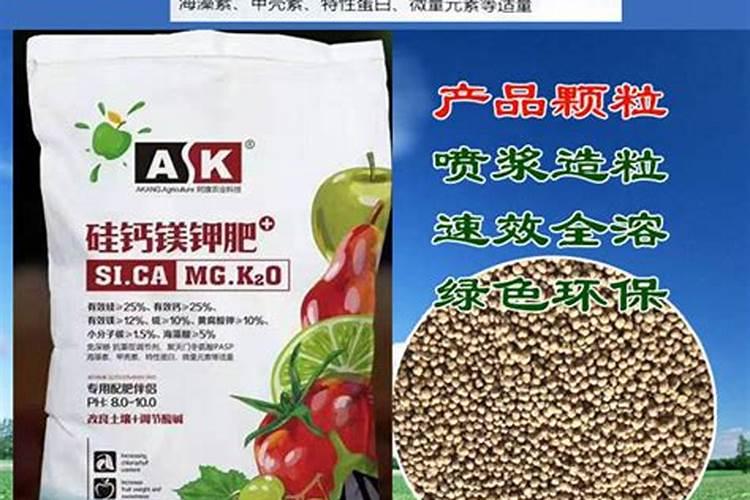 农药股票有哪些公司龙头股？