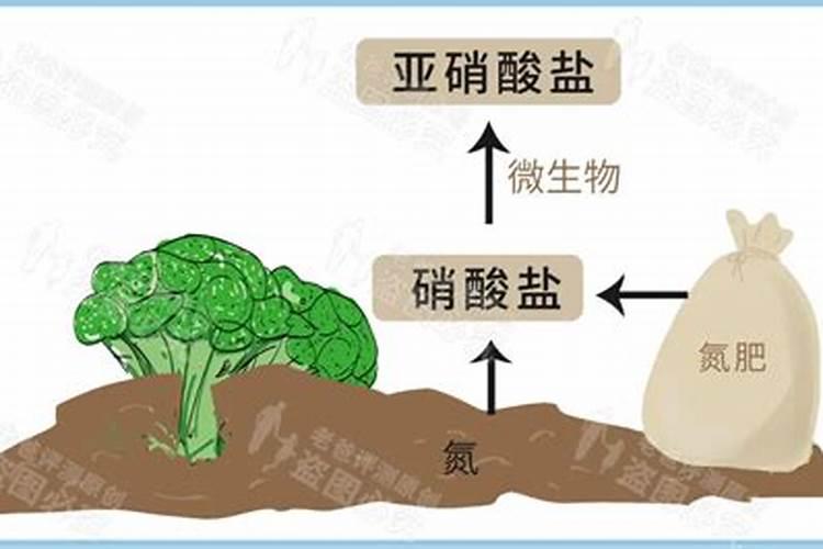 氮肥有什么特性 氮肥的特性介绍