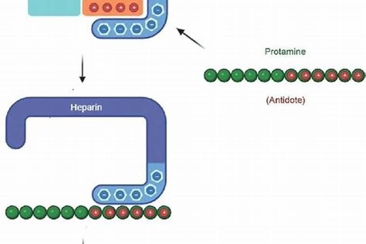 玫瑰花什么时候施肥