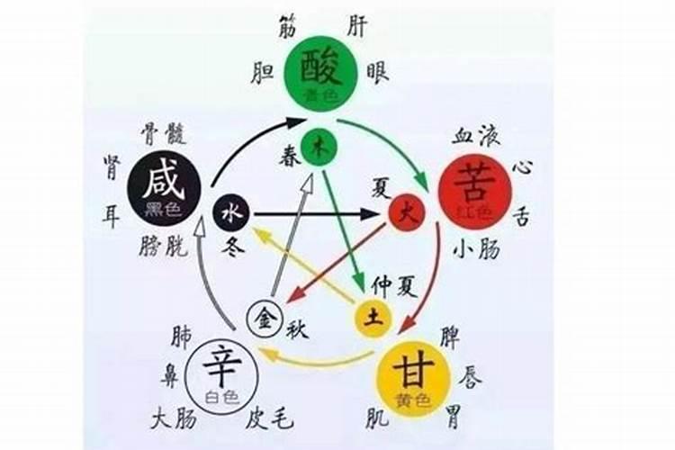 垂丝茉莉小苗几年开花