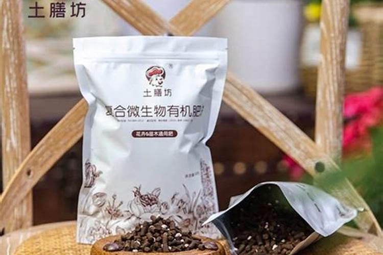 柑橘叶尖发黄怎么回事？