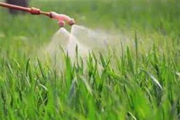 河南溉特生物科技有限公司怎么样？