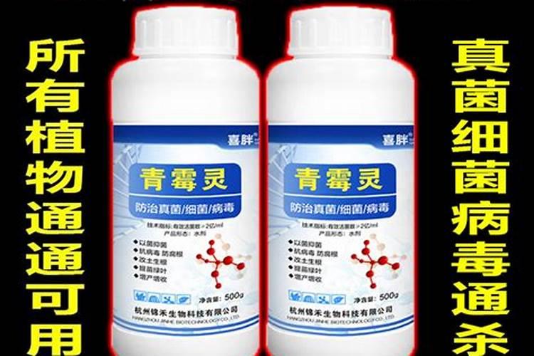 河南化肥行业新上马项目有哪些