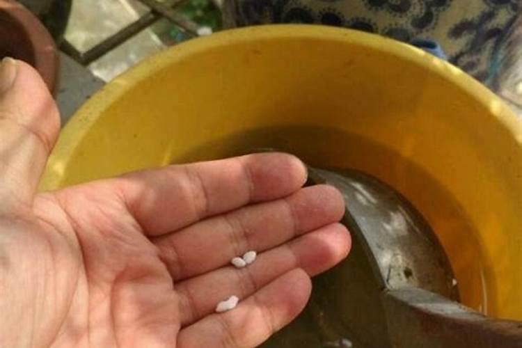 硅肥在大棚葡萄上什么时间用最好？