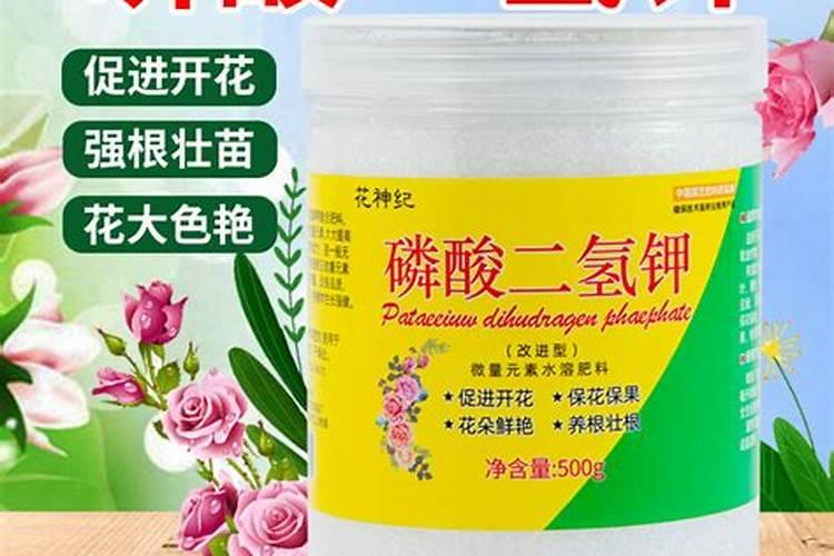在水产养殖过程中怎样用磷酸二氢钾肥水