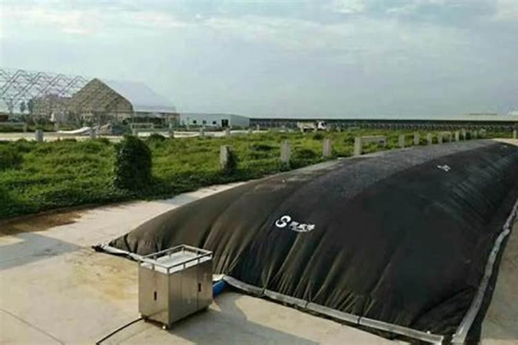 平阴玫瑰的施肥方法