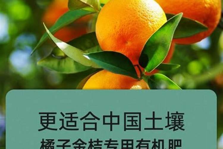 使君子的养殖方法和注意事项