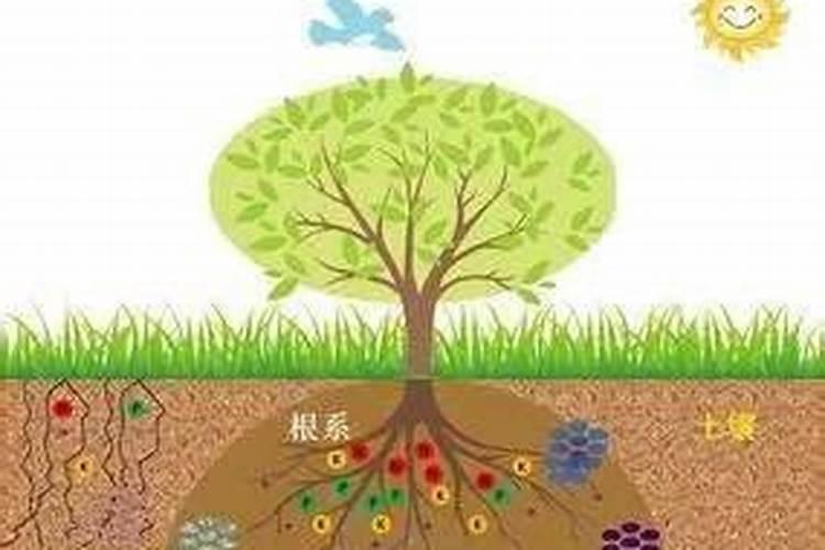 我是化肥厂碳化车间,液泵岗位,这个是不是,特殊工种？