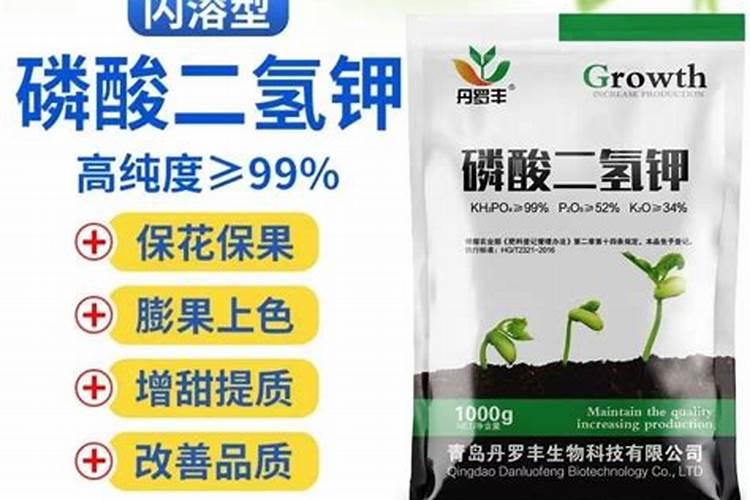 大葱施什么肥最好