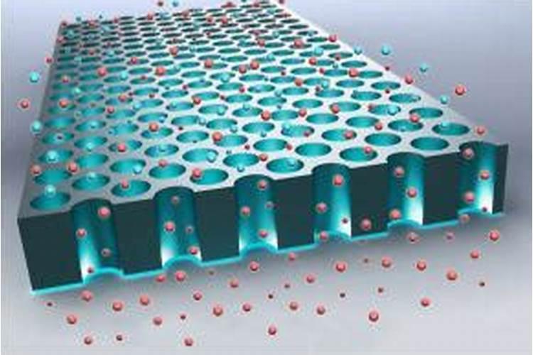 钾离子外流是什么运输方式