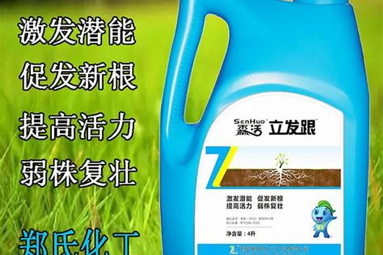 腐植酸肥料的作用和使用方法
