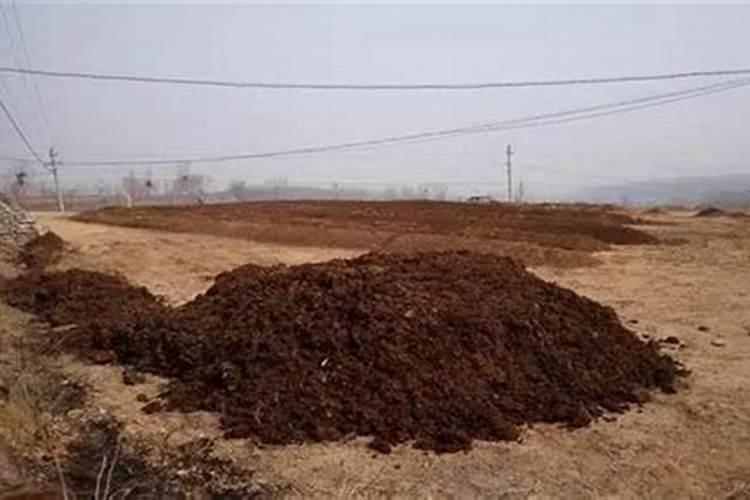 为什么植物根系不能利用农家肥中有机物的能量？