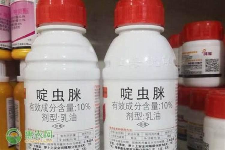 窝瓜幼苗能不能打吡虫啉？