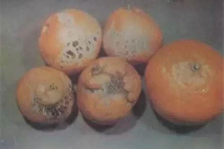 硼肥的毒性有多强