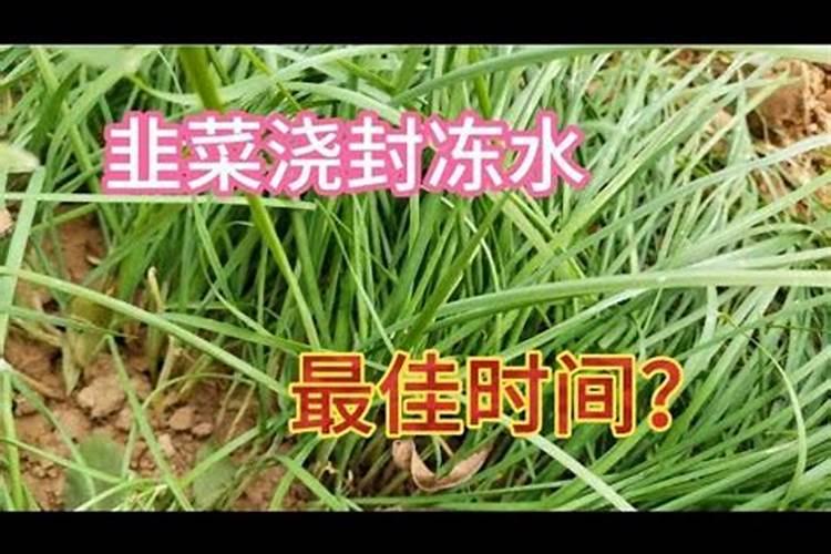 种果树几天浇一次水