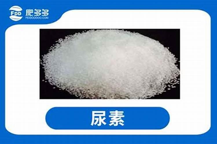 尿素可以喷施叶面肥吗