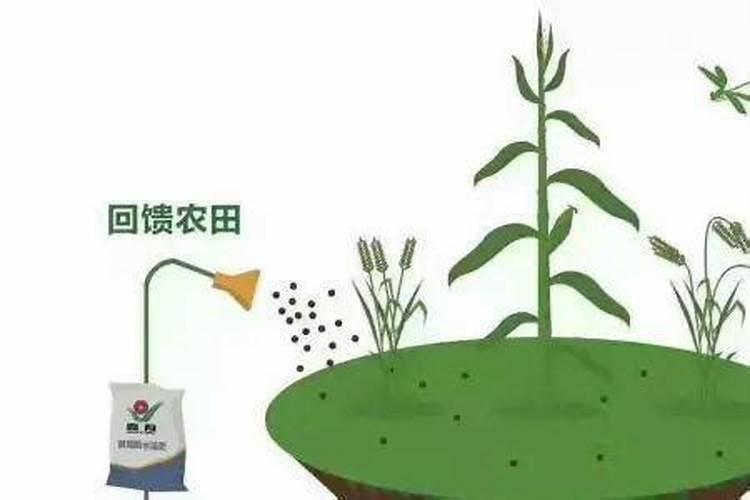 腐殖酸肥料好在哪？怎样正确使用腐殖酸肥料？