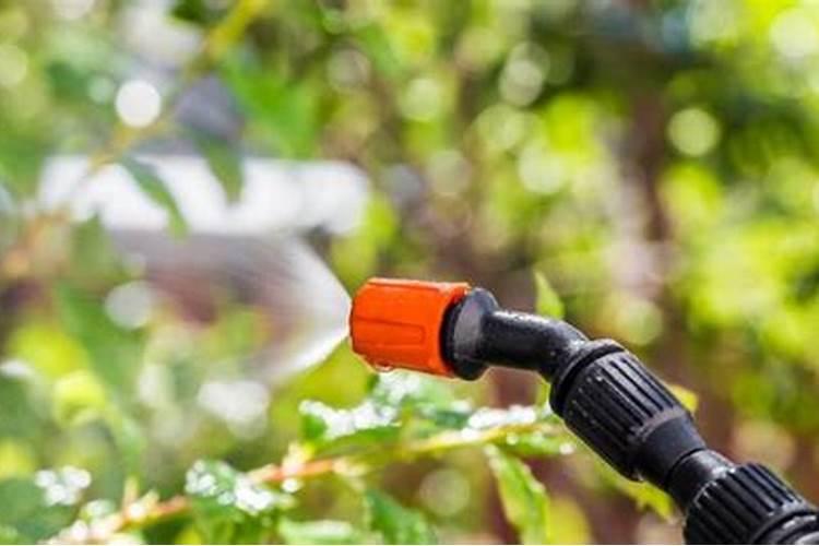 氧化钾和硫酸钾哪个好